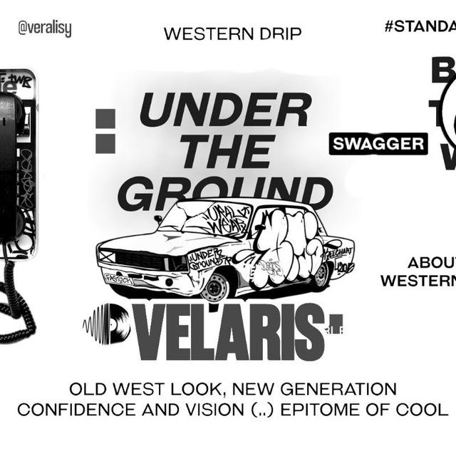 VELARIS || PINNED