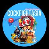 📢COCKFIGHTASIA OFFICIAL CHANNEL 💯 🐔🆚💸