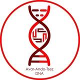 Avar DNA