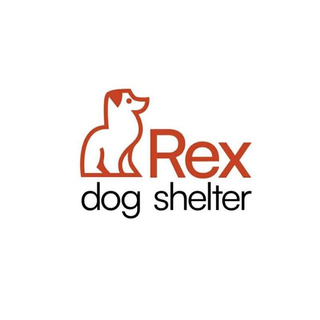 Приют «Рекс», Армения, c. Нор Харберт\ «Reks» animal shelter, Armenia, Nor Harbert village