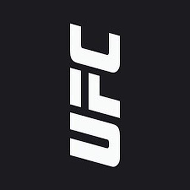 UFC FIGHTS