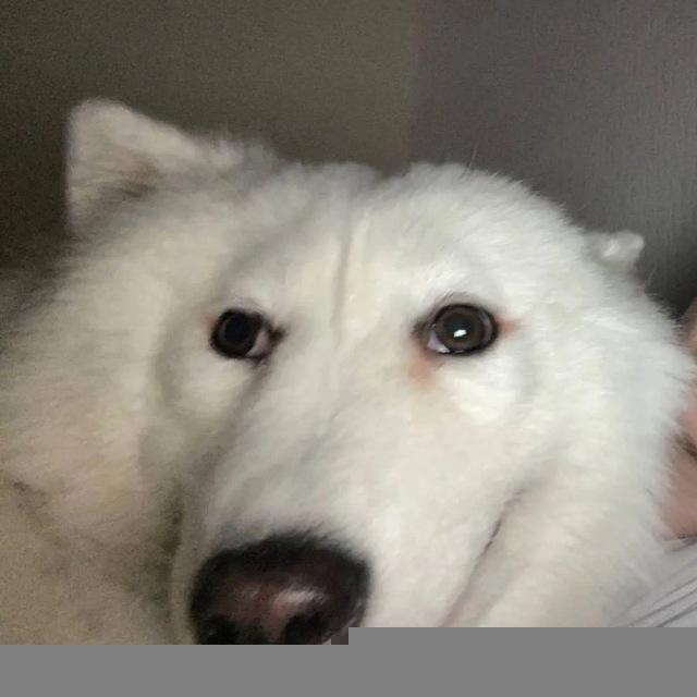 не, ну, а что они?🫥