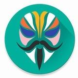 Magisk Module