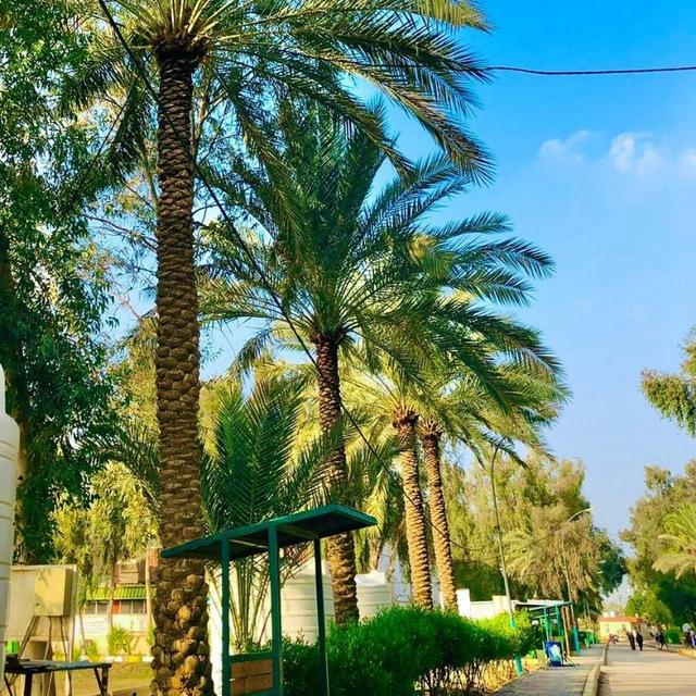 وضائف القطاع الخاص