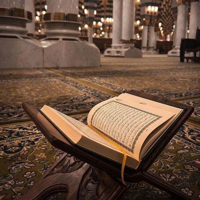 ﴿فذكّر بالقرآن﴾