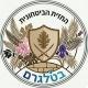 החזית הביטחונית - בטלגרם