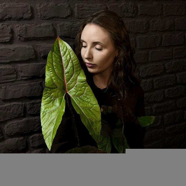 REGINA BOTANICA | РЕГИНА БОТАНИКА