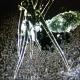 Nano/Biotechnologie & Contamination du Vivant