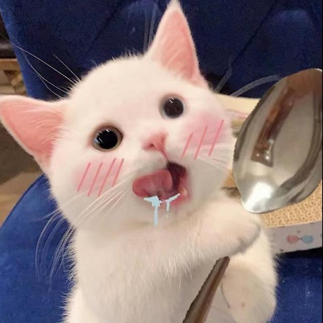 🪐心情垃圾站 🔗