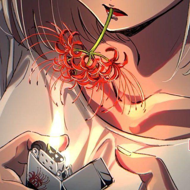 Lycoris