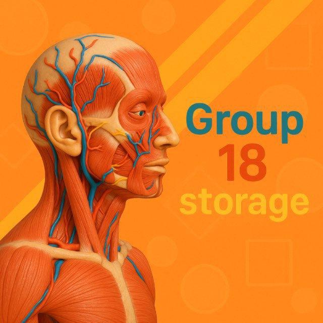 Group 18 Storage