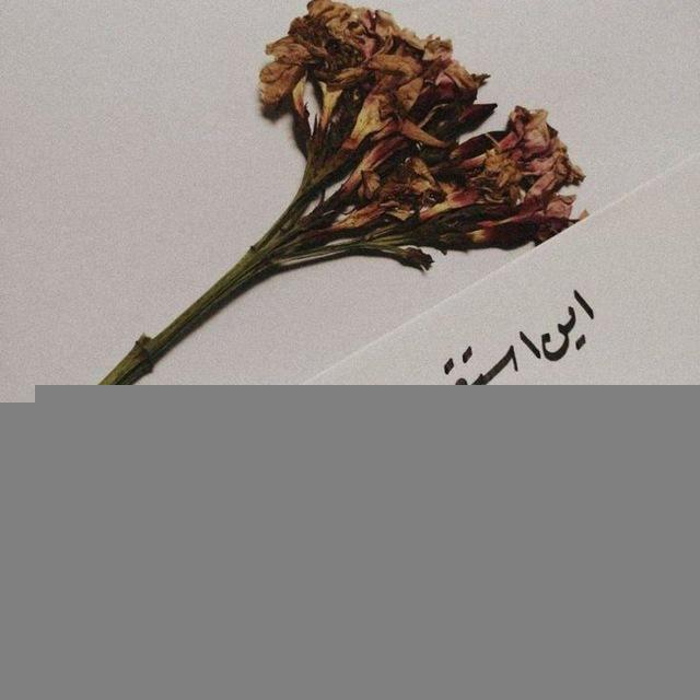 بـأنتضـار القـائم✨
