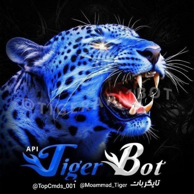 𓄂꯭ꪴꪰکانال دستورات ضد لینک رایگان تایگر بات𓆃