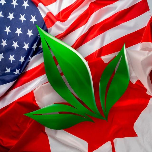 APLGO US
