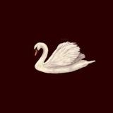 🦢