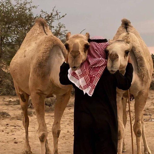 دَار .