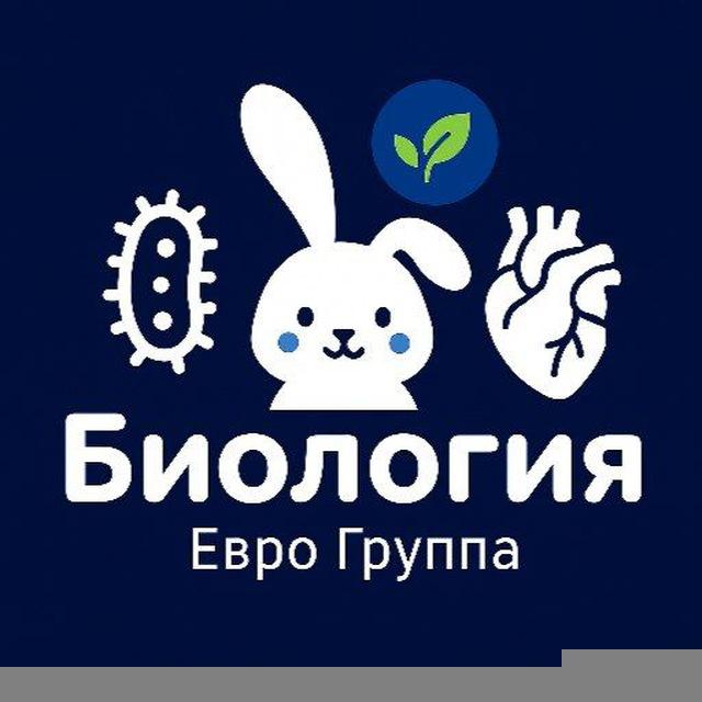 Биология и Химия Евро Группа