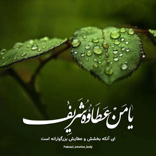 پاکسازی