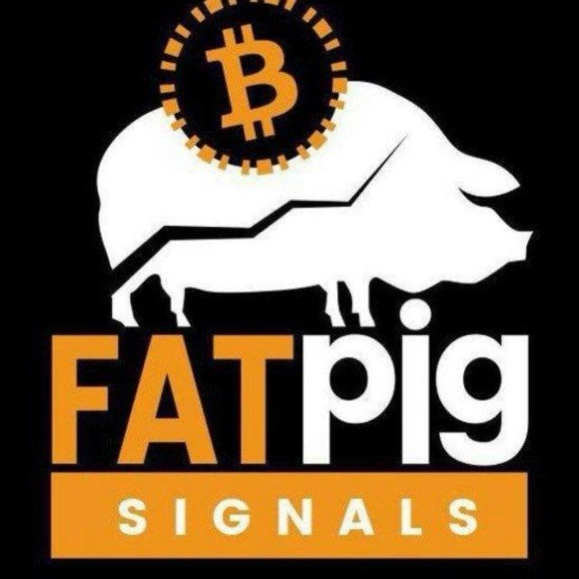 FAT PIG SIGNALS ™️