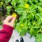 °•𝐹𝑎𝑑𝑤𝑎 🍒°•