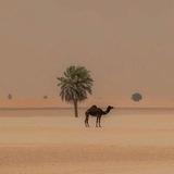 عـفراء