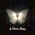 A New Day ✨