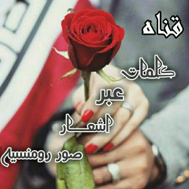 نبض اليمن 🇾🇪