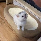 周一一的🏠