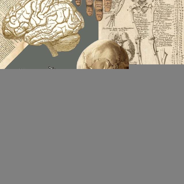 Medical MCQs
