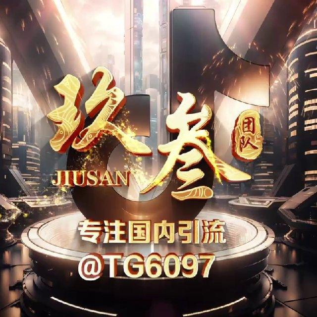 Jș玖叁团队