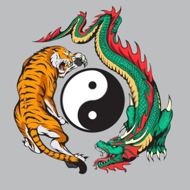 Dragon Tiger King🤑 ( Official )