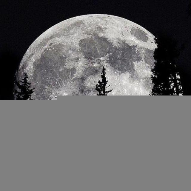 Dark moon 🌑📚