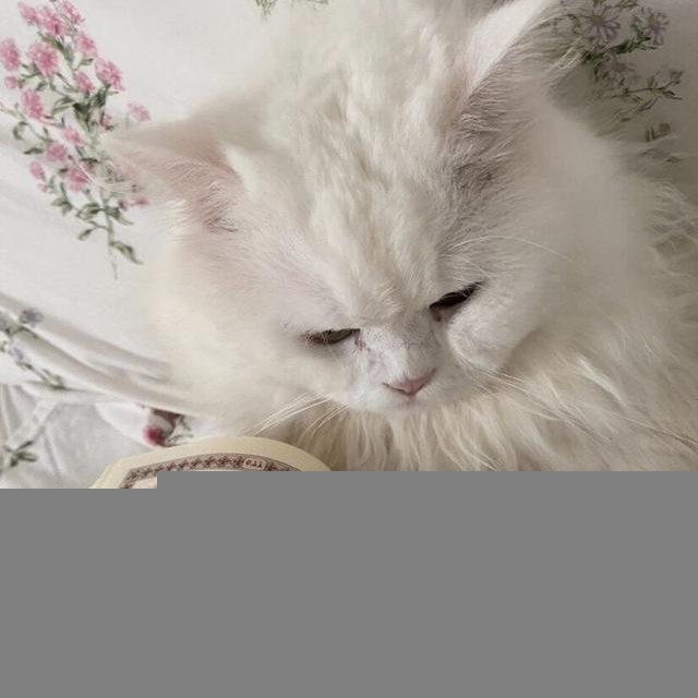 هِدايتي