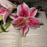 إميليا .