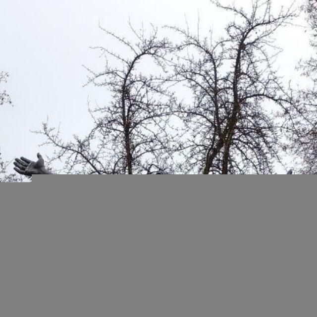 Заметки бродячего торгаша