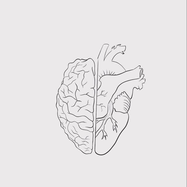 Study with Doctor🫀🧠