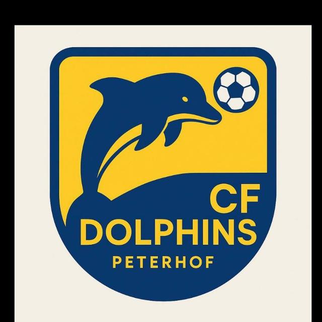 CF Dolphins - Media