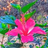 প্রকৃতির অপরূপ দৃশ্য