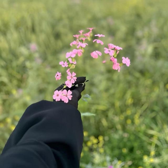 إبنـــــَةَ الإســــلام