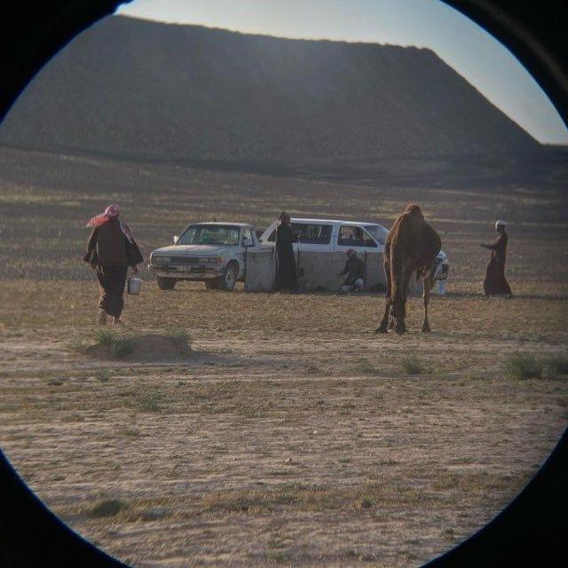 زهـاء