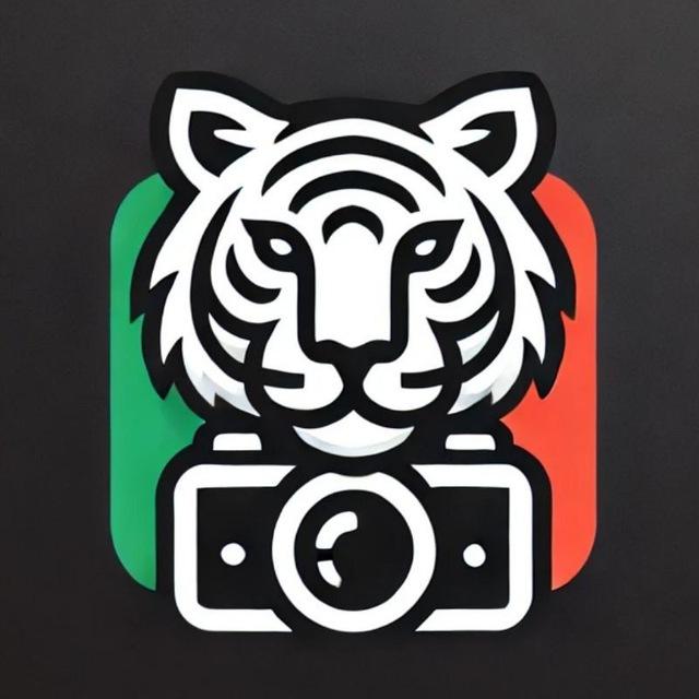 VcamDroid