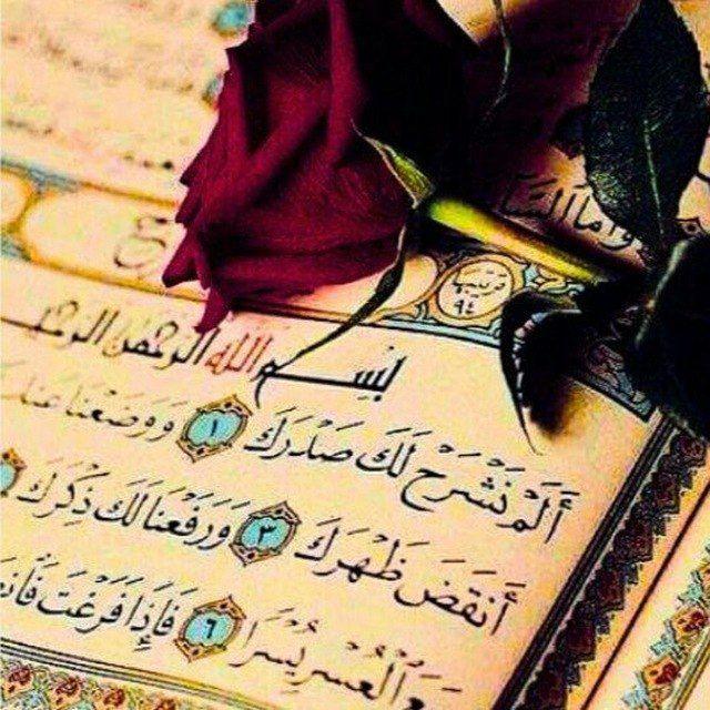 مَعاً لِلجَنَّة💗🕊.