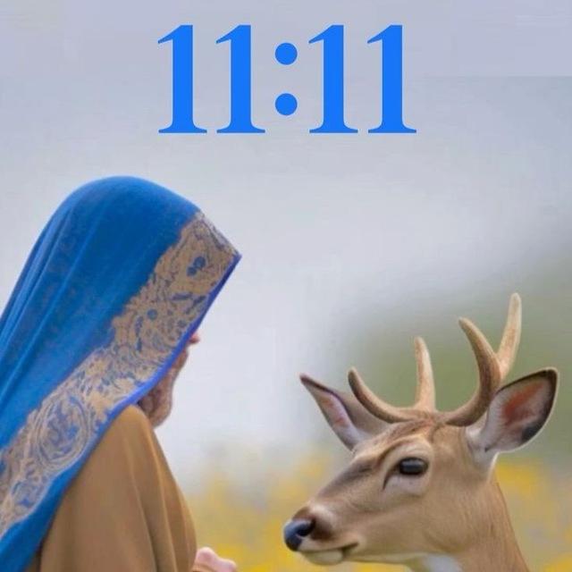 قناة اهل البيت عليهم السلام 313🫡☁