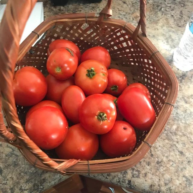 Nationalist Food Preservation