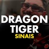 DRAGON TIGER - SINAIS