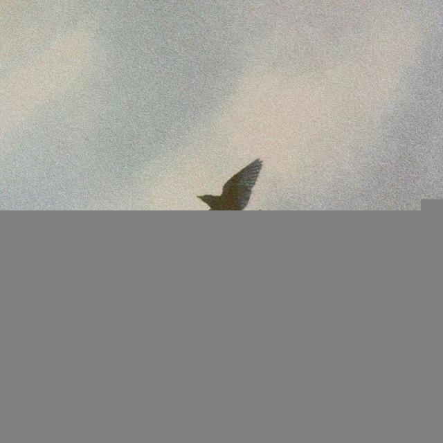 المُتَيَّم