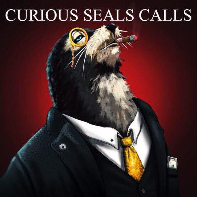 CURIOUS SEALS CALLS 📣📊