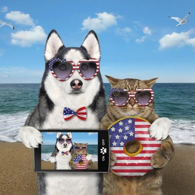 Pet 🐶 in USA🗽🇺🇲