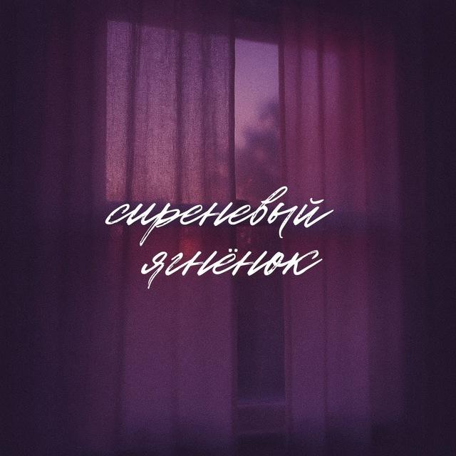 сиреневый ягнёнок
