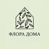 Флора дома: кашпо & растения